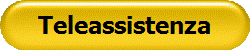Teleassistenza